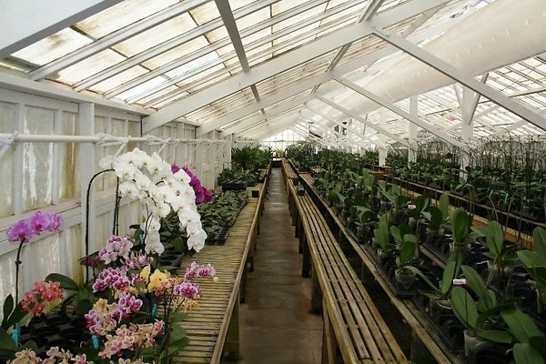 Greenhouse.4630.Malibu Locations.Zuma Orchids20