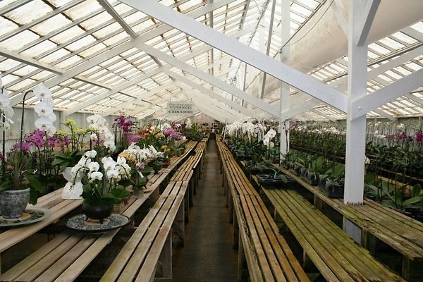 Greenhouse.4630.Malibu Locations.Zuma Orchids01
