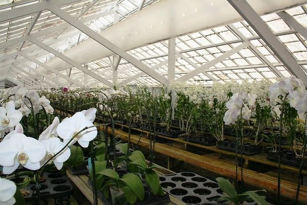 Greenhouse.4630.Malibu Locations.Zuma Orchids11