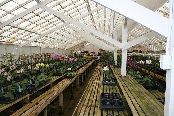 Greenhouse.4630.Malibu Locations.Zuma Orchids07