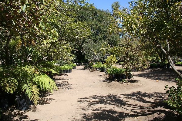 Greenhouse.4630.Malibu Locations.Zuma Orchids26