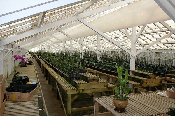 Greenhouse.4630.Malibu Locations.Zuma Orchids18