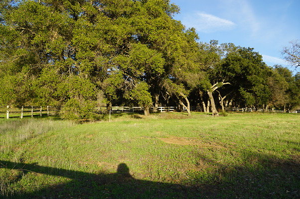 Corral Behind Thorton Ranch.07