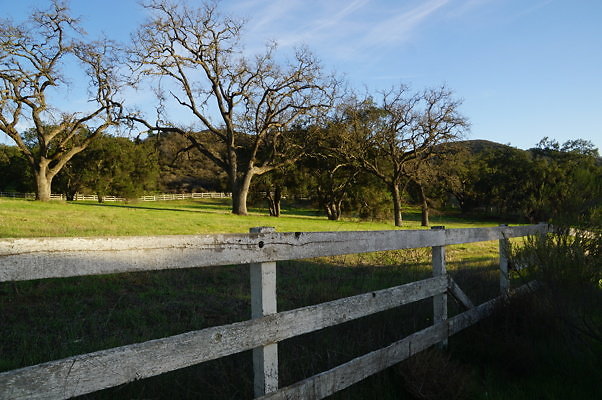 Corral Behind Thorton Ranch.06