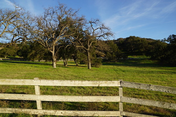 Corral Behind Thorton Ranch.11