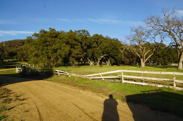 Corral Behind Thorton Ranch.21