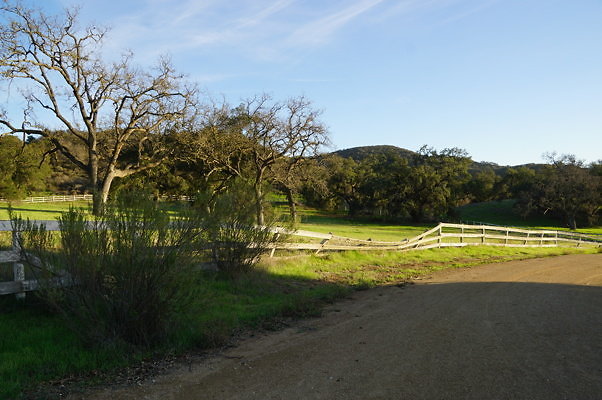 Corral Behind Thorton Ranch.03