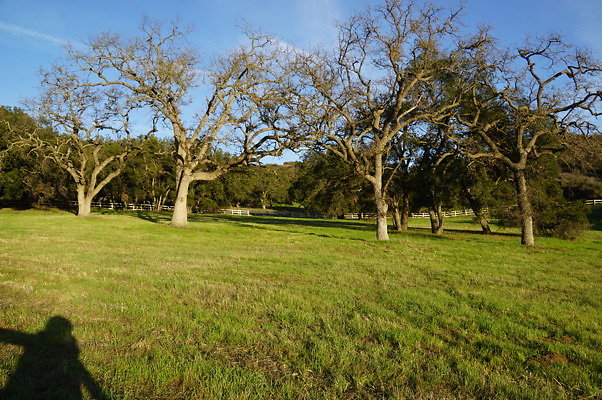 Corral Behind Thorton Ranch.13