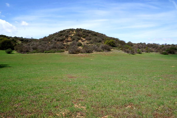 DSC01045