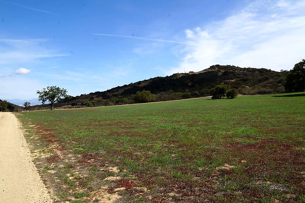 DSC01040
