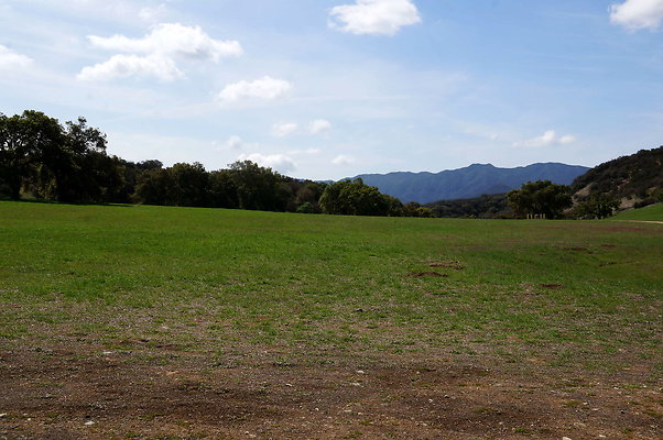 DSC01032