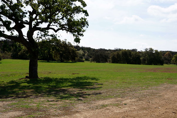 DSC01019