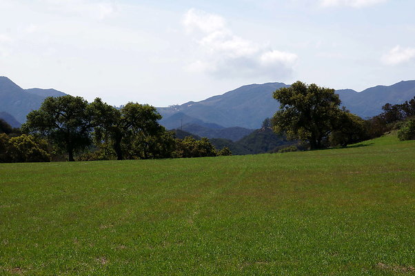 DSC01030