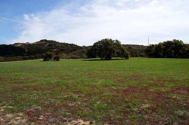 DSC01039