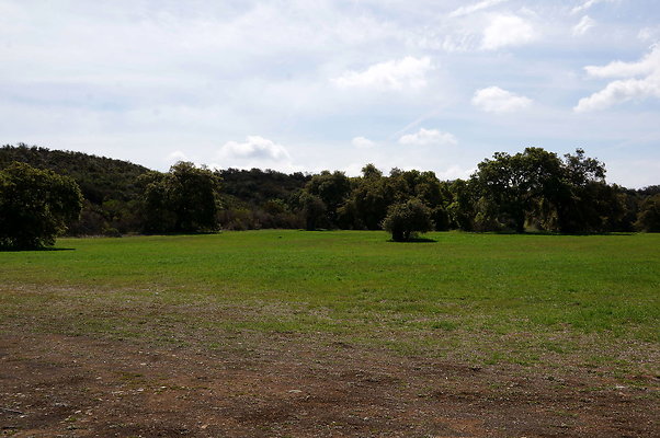 DSC01031