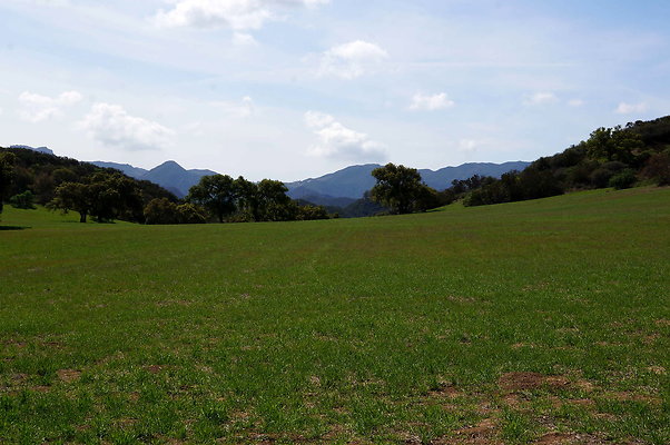 DSC01029
