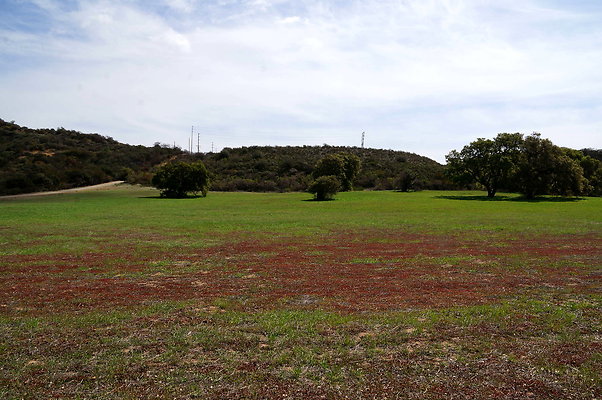 DSC01035