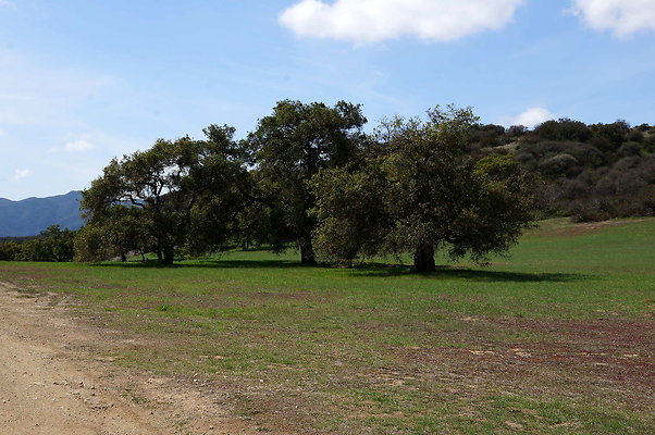 DSC01022