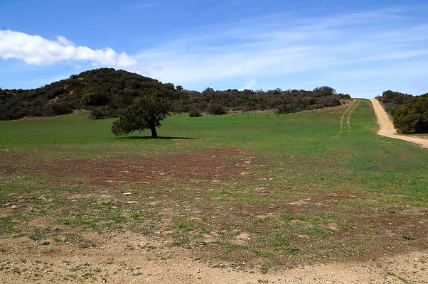 DSC01016