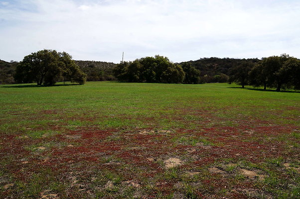 DSC01041