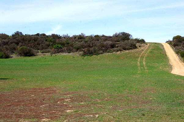 DSC01024