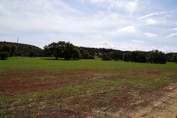DSC01036