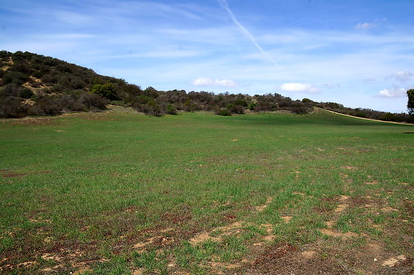 DSC01037