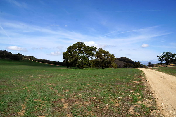 DSC01046