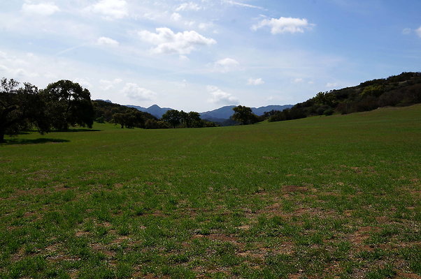 DSC01028