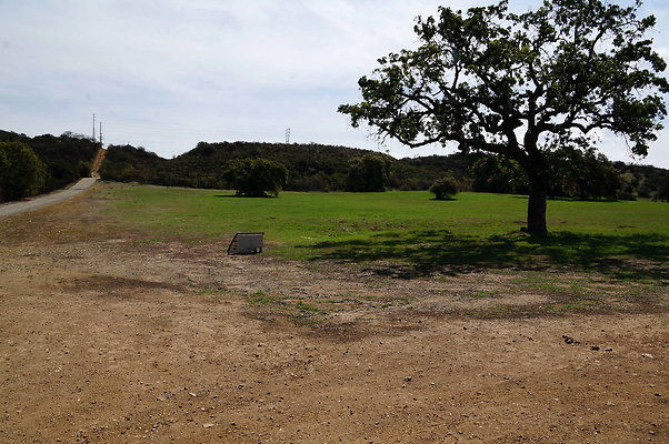 DSC01014