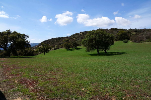 DSC01044