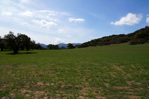 DSC01026