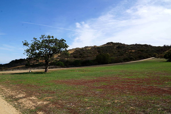 DSC01034