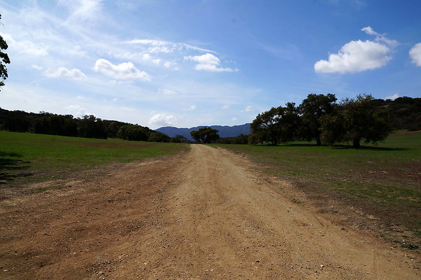 DSC01015