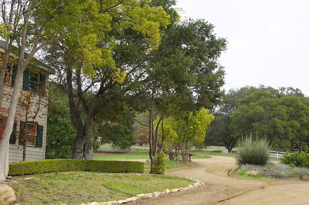 DSC07336