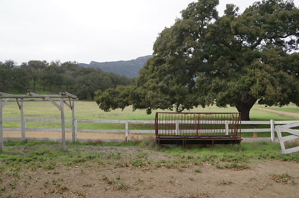 DSC07359