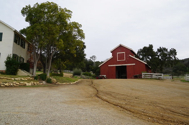 DSC07335