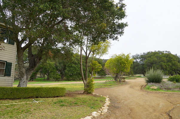 DSC07339