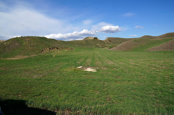 DSC01354