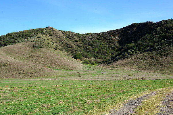 DSC01350