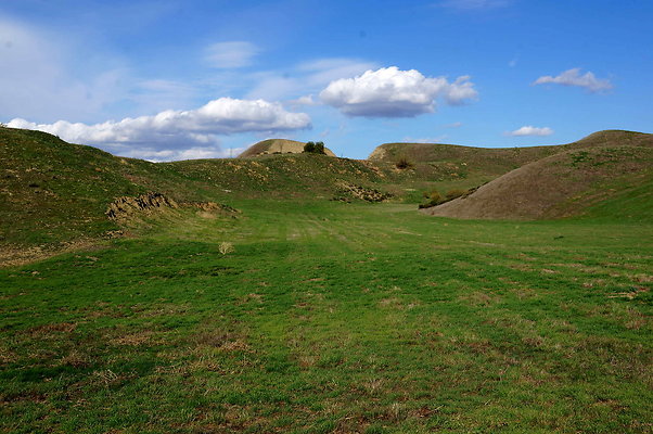 DSC01341