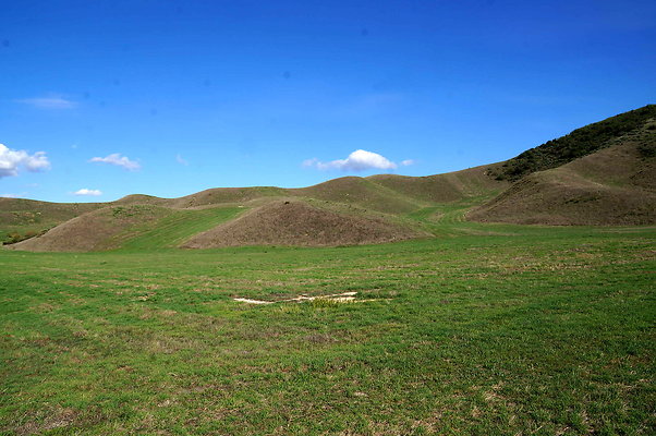 DSC01339