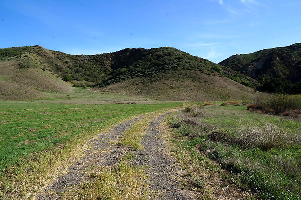 DSC01345