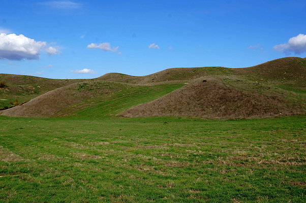 DSC01348
