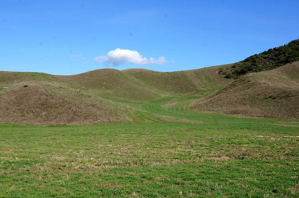 DSC01349