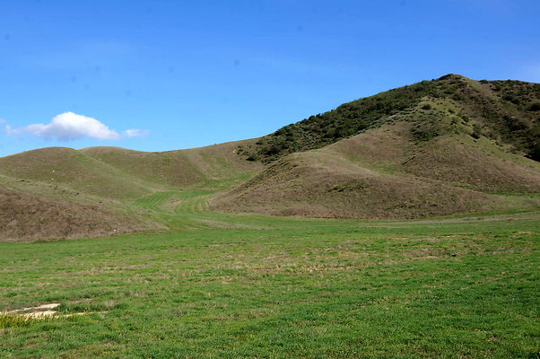 DSC01343