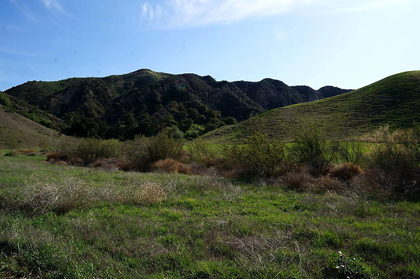 DSC01346