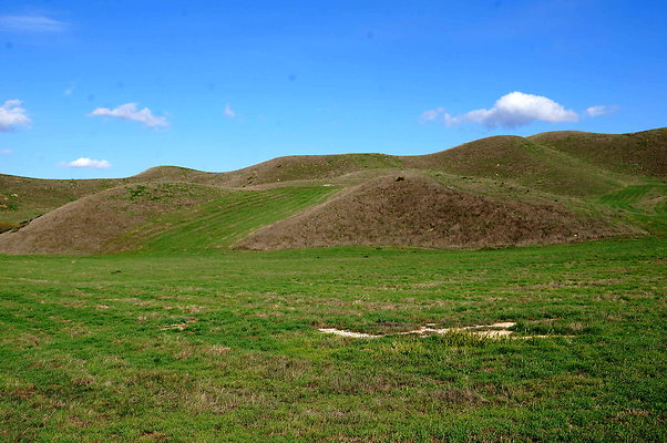 DSC01342