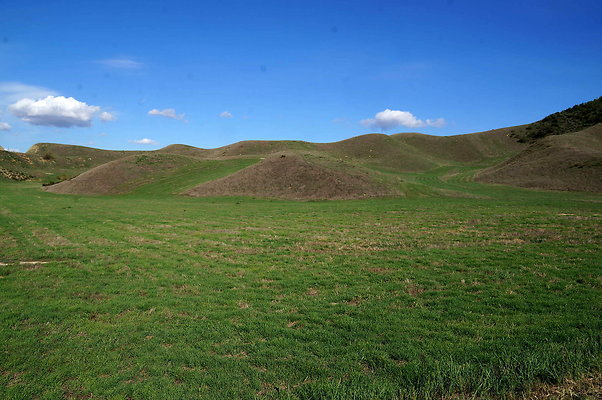 DSC01347