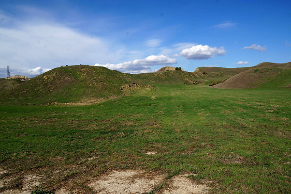 DSC01338